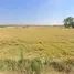  Grundstück zu verkaufen in Bang Nam Priao, Chachoengsao, Sala Daeng, Bang Nam Priao