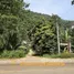  Grundstück zu verkaufen in Nuea Khlong, Krabi, Nuea Khlong, Nuea Khlong, Krabi