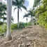 Terrain à vendre à Sosua, Puerto Plata, Sosua, Puerto Plata