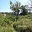  Terreno (Parcela) en venta en Fernando De Noronha, Rio Grande do Norte, Fernando De Noronha, Fernando De Noronha