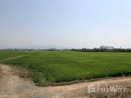  Terreno (Parcela) en venta en Tailandia, Khi Lek, Mae Rim, Chiang Mai, Tailandia