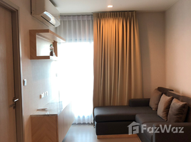 1 Schlafzimmer Wohnung zu vermieten im Life Sukhumvit 62, Bang Chak