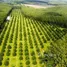  Land for sale in Khlong Pun, Rayong, Khlong Pun