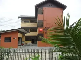 18 chambre Whole Building for sale in Chiang Mai, Pa Daet, Mueang Chiang Mai, Chiang Mai