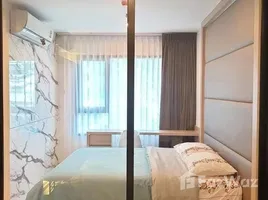 คอนโด 1 ห้องนอน ให้เช่า ในโครงการ ไลฟ์ อโศก, บางกะปิ