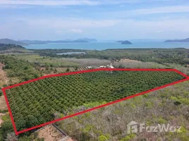 ขายที่ดิน ใน เทพกระษัตรี, ภูเก็ต, เทพกระษัตรี