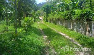 N/A Grundstück zu verkaufen in Si Sunthon, Phuket 