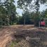 ขายที่ดิน ใน สะพลี, ชุมพร, สะพลี, ปะทิว, ชุมพร, ไทย