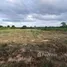  Land for sale in Kamphaeng Phet, Wang Chaphlu, Khanu Woralaksaburi, Kamphaeng Phet