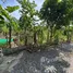  Land for sale in Bo Phut, Surat Thani, Bo Phut, Koh Samui