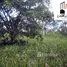  Land for sale in Pastaza, Tarqui, Pastaza, Pastaza