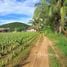  Land for sale in Hua Hin, Thap Tai, Hua Hin