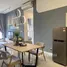 在Suriamas Condominium租赁的开间 公寓, Damansara, Petaling, Selangor