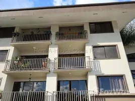 Appartement 1 chambre à louer à Sanchez, Curridabat