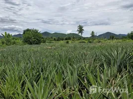  Land for sale in Hin Lek Fai, Hua Hin, Hin Lek Fai, Hua Hin