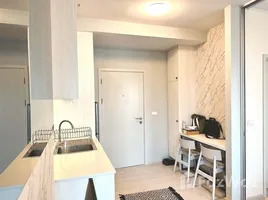 1 Bedroom Condo for rent at Chapter One Shine Bangpo, Bang Sue, Bang Sue