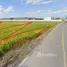  Land for sale in Hua Pluak, Saraburi, Hua Pluak