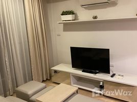 1 Schlafzimmer Appartement zu vermieten im Via 49, Khlong Tan Nuea