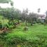  Land for sale in Thailand, Bung Namtao, Lom Sak, Phetchabun, Thailand