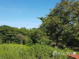  Земельный участок for sale in Santa Cruz, Guanacaste, Santa Cruz