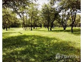  Terrain for sale in Guanacaste, Santa Cruz, Guanacaste