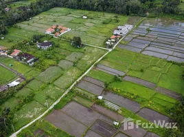  Tanah for sale in Gianyar, Bali, Blahbatu, Gianyar