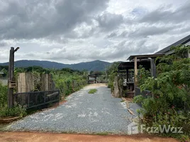 2 Schlafzimmer Villa zu vermieten in Thailand, Ban Du, Mueang Chiang Rai, Chiang Rai, Thailand