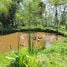  Terrain for sale in Colombie, Moniquira, Boyaca, Colombie