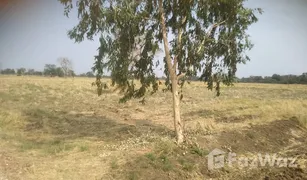 N/A Land for sale in Dong Din Daeng, Lop Buri 