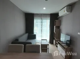 คอนโด 1 ห้องนอน ให้เช่า ในโครงการ ดิ เอ็กเซล ไฮด์อะเวย์ สุขุมวิท 50 , พระโขนง