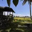 Land for sale in Chiang Mai, Pa Pong, Doi Saket, Chiang Mai