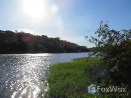  Grundstück zu verkaufen in Tefe, Amazonas, Tefe, Tefe, Amazonas, Brasilien