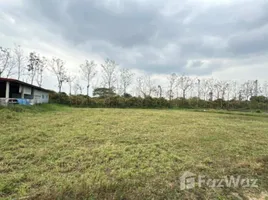 ขายที่ดิน ใน ชมภู, เชียงใหม่, ชมภู, สารภี