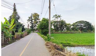 Земельный участок, N/A на продажу в Ban Du, Чианг Рай 