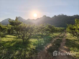 ขายที่ดิน ใน คลองม่วง, นครราชสีมา, คลองม่วง, ปากช่อง, นครราชสีมา, ไทย