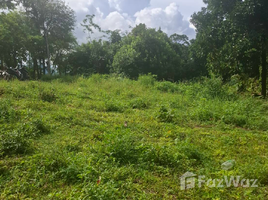  Land for sale in Koh Samui Surat Thani, Maret, Koh Samui