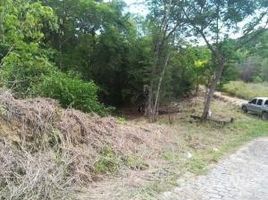  Terreno (Parcela) en venta en Islas De La Bahia, Roatan, Islas De La Bahia