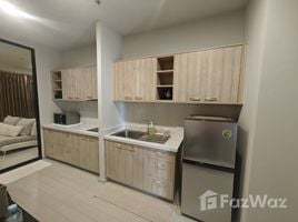 1 Bedroom Condo for rent at Noble Ploenchit, Lumphini, Pathum Wan, Bangkok, Thailand
