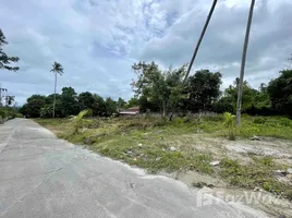  Land for sale in Surat Thani, Bo Phut, Koh Samui, Surat Thani