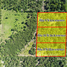  Land for sale in Chumphon, Pak Khlong, Pathio, Chumphon