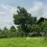  Land for sale in Mueang Nakhon Ratchasima Nakhon Ratchasima, Khok Sung, Mueang Nakhon Ratchasima, Nakhon Ratchasima