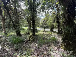  Terreno (Parcela) en venta en San José, Dota, San José
