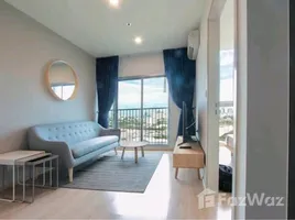 Condominium 2 chambre à louer à Noble Revolve Ratchada, Huai Khwang