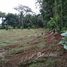  Land for sale in Phuket, Si Sunthon, Thalang, Phuket