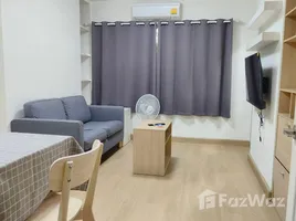 1 Bedroom Condo for rent at My Condo Sukhumvit 81, Bang Chak, Phra Khanong, Bangkok, Thailand