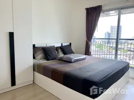 อพาร์ทเม้นท์ 1 ห้องนอน ให้เช่า ในโครงการ แอสปาย สุขุมวิท 48, พระโขนง, คลองเตย, กรุงเทพมหานคร