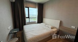 ยูนิตมือสองและให้เช่า