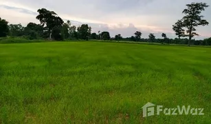 N/A Grundstück zu verkaufen in Sam Yaek, Yasothon 