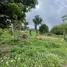  Land for sale in Na Mueang, Surat Thani, Na Mueang