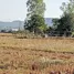 2 спален Дом for sale in Ban Bom, Lampang, Ban Bom, Mae Tha, Lampang, Таиланд